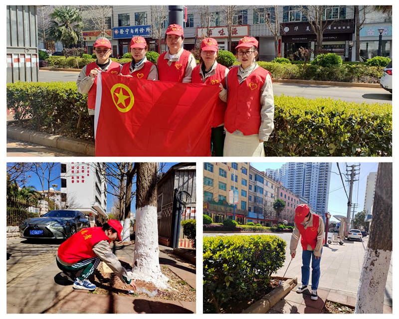 宣威水电公司团委组织开展“学雷锋 爱卫行 除垃圾”志愿服务活动照片1-浦恩宪摄_副本.jpg