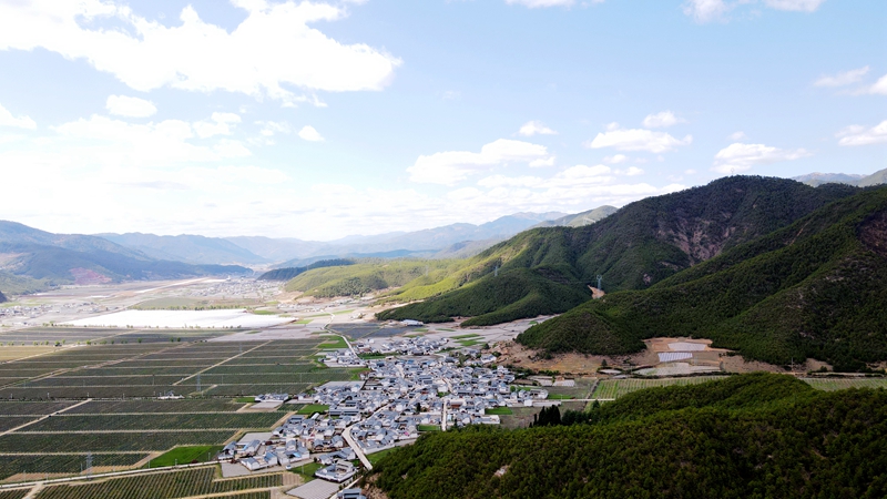 丰华村全景_副本.jpg