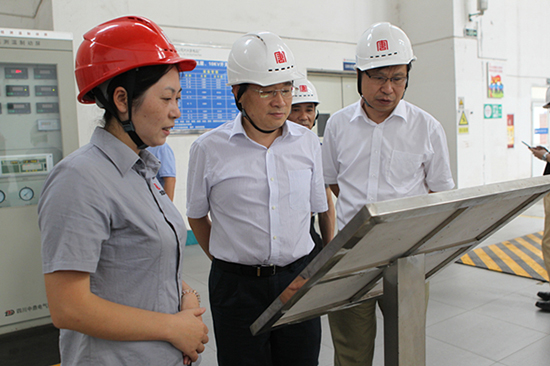 胡绳木到四川发电公司调研