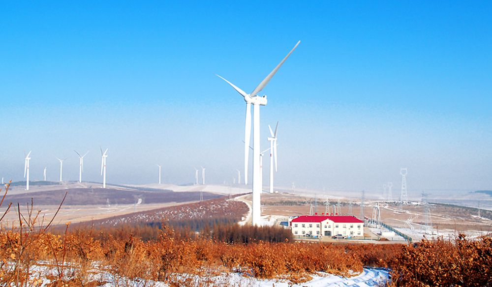 桦南风场全景