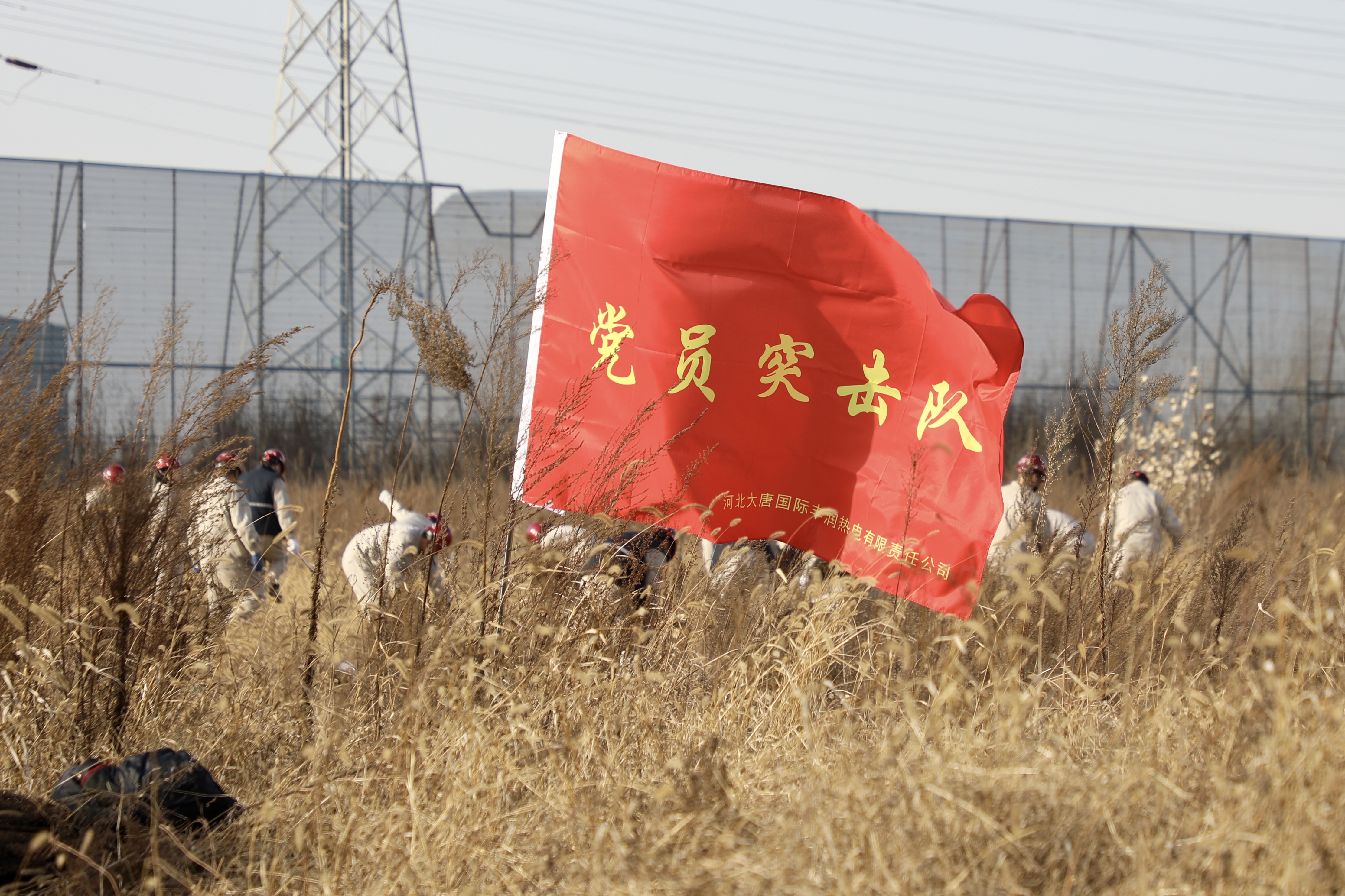 【现场风采】丰润热电公司开展“清杂草 除隐患”主题党日活动 (1).jpg