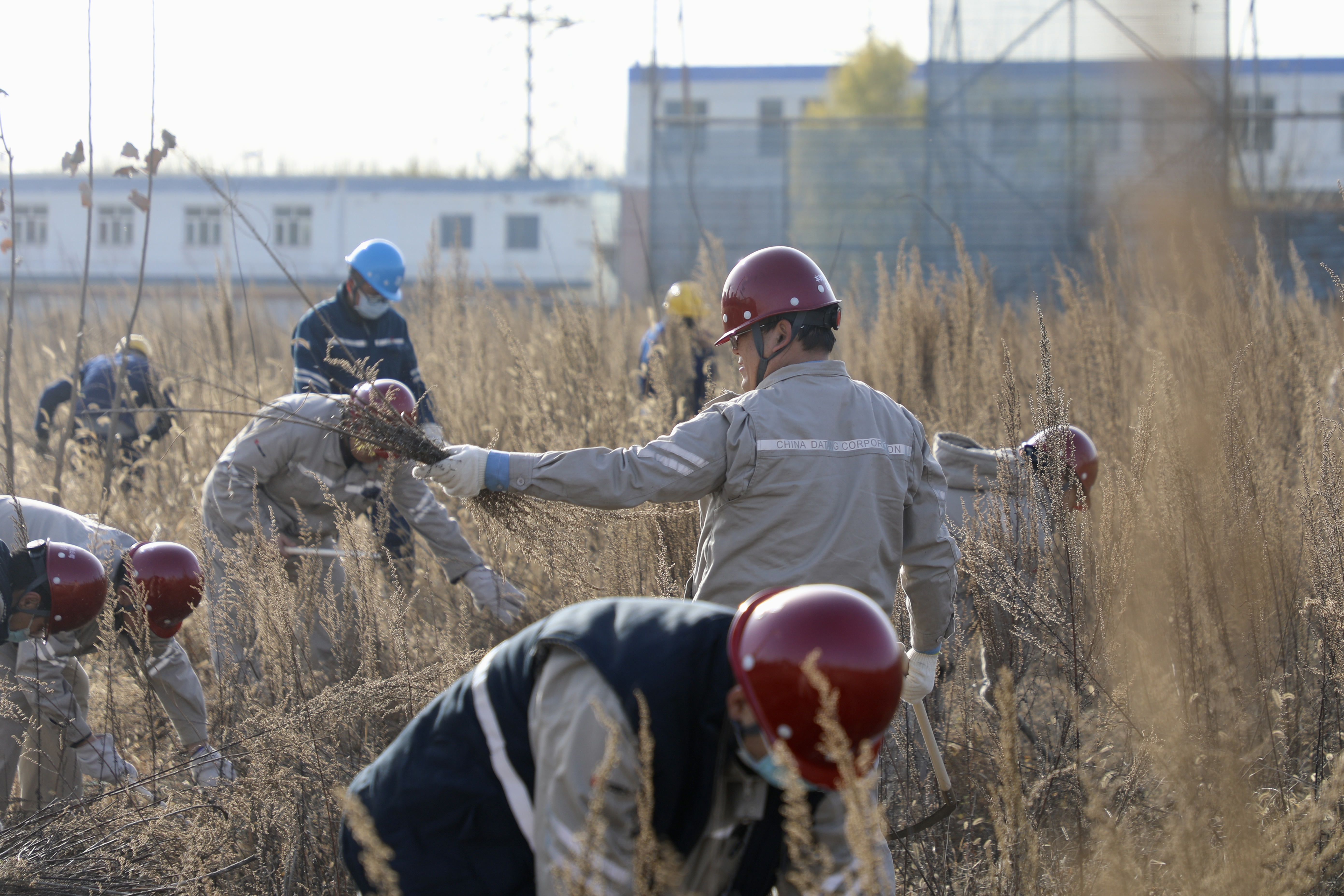 【现场风采】丰润热电公司开展“清杂草 除隐患”主题党日活动 (2).jpg